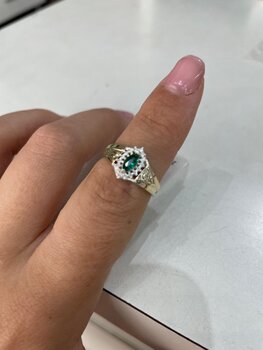 ANEL VETERINARIA DE PRATA E OURO, FORMATURA