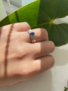 ANEL ADMINISTRAÇÃO DE PRATA E OURO, FORMATURA