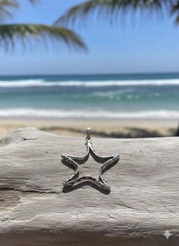 PINGENTE PRATA BALI CONTORNO ESTRELA DO MAR